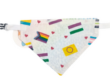 Pride Flags and Rainbow Cheetah Print Reversible Bandana