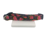 Watermelon Dog Collar