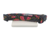 Watermelon Dog Collar