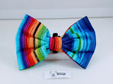 Light Spectrum Pet Bow