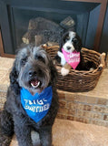 Big Brother Little Sister Tartan and Pink Mint Bandana