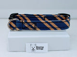 Blue and Bronze Dog Collar