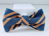 Navy and Bronze Cat Bow