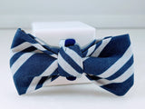 Navy and Silver Cat Bow