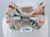 Cat with Glasses Bow Tie