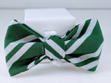 Green and Silver Cat Bow