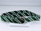 Green and Silver Martingale Collar