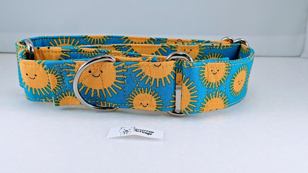 Happy Suns Martingale Collar
