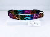 Metallic Rainbow Scales Dog Collar