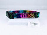 Metallic Rainbow Scales Dog Collar