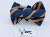 Navy and Bronze Dog Bow