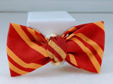 Red and Gold Cat Bow