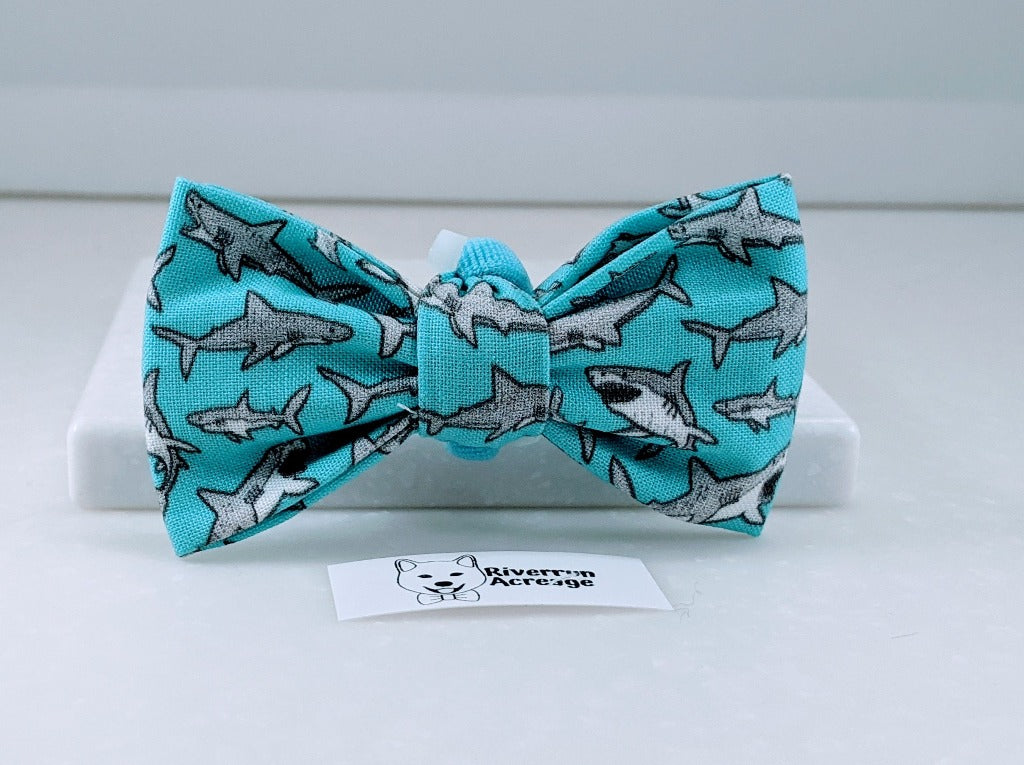 Shark Cat Bowtie