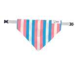 Transgender Stripe Reversible Buckled Bandana