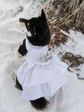 White Sparkle Dog Dress being Modeled