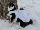 White Sparkle Dog Dress Modeled