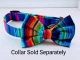 Light Spectrum Pet Bow with Collar